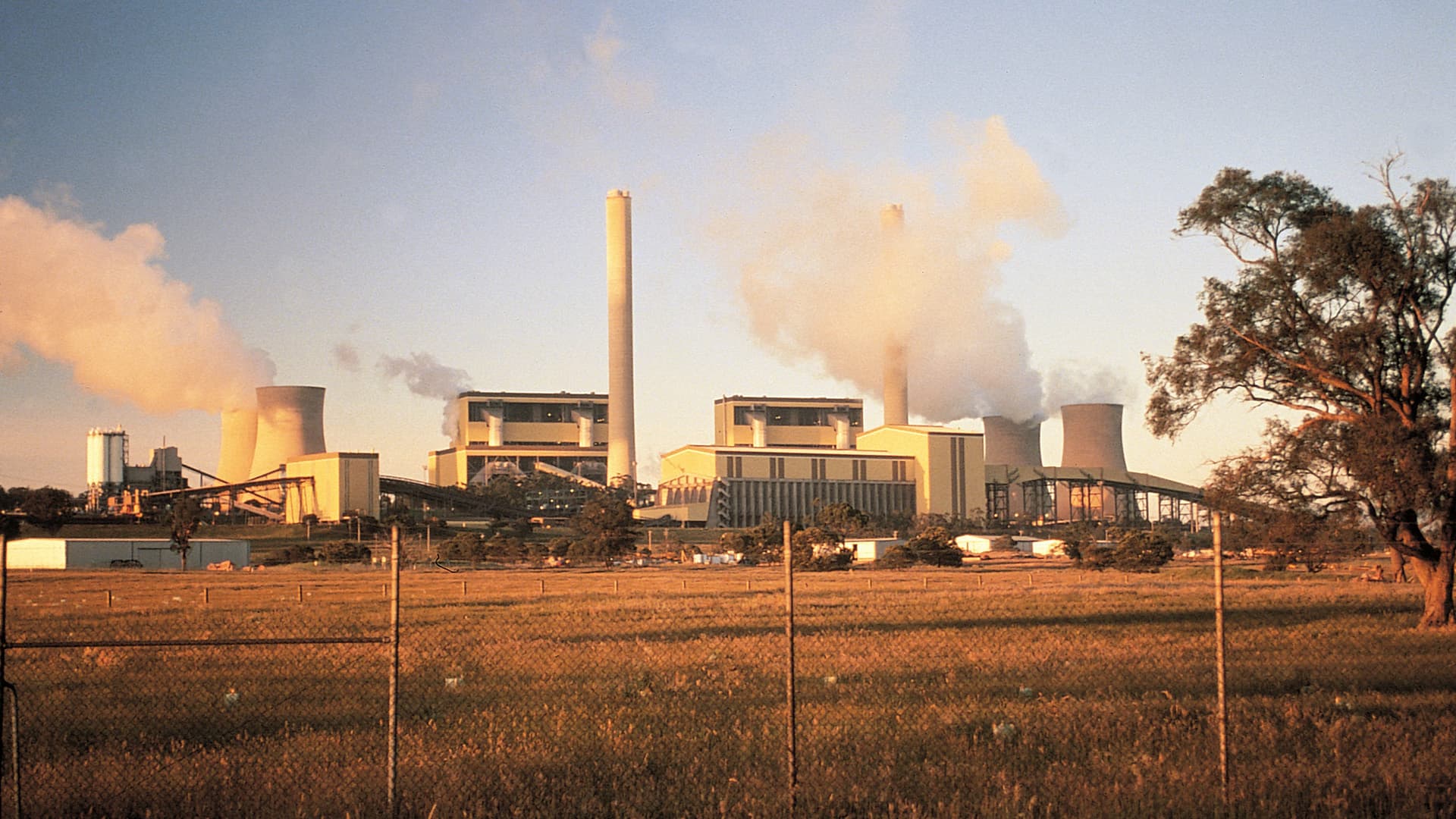 Wide view of plant